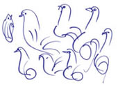 soul bird